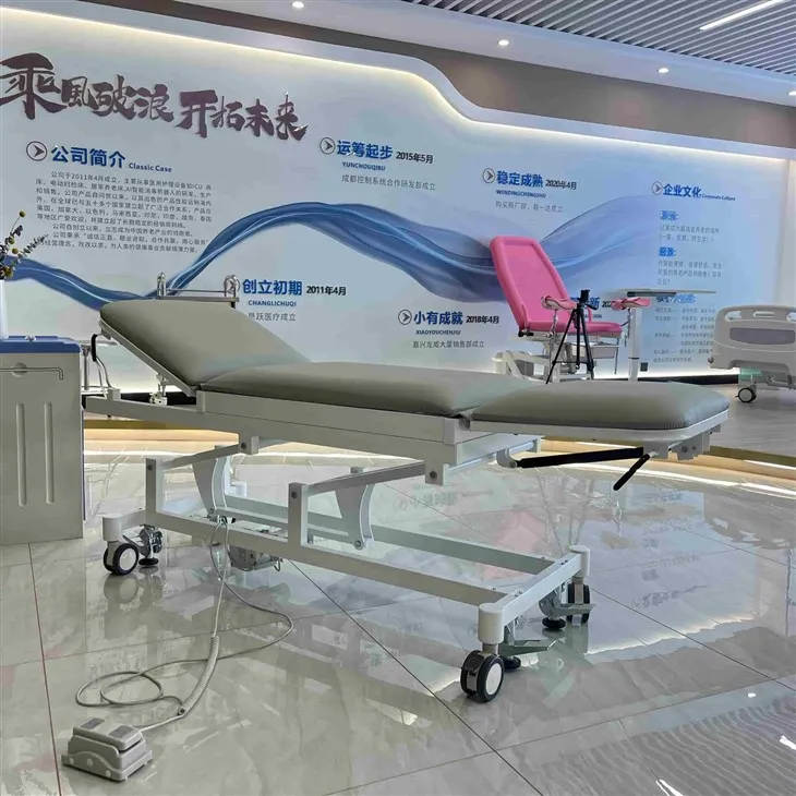 Luxury Electric Examination Bed